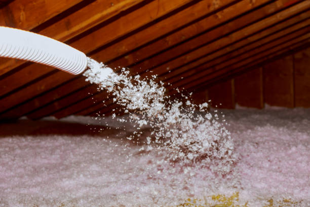 Best Types of Insulation in Carey, OH